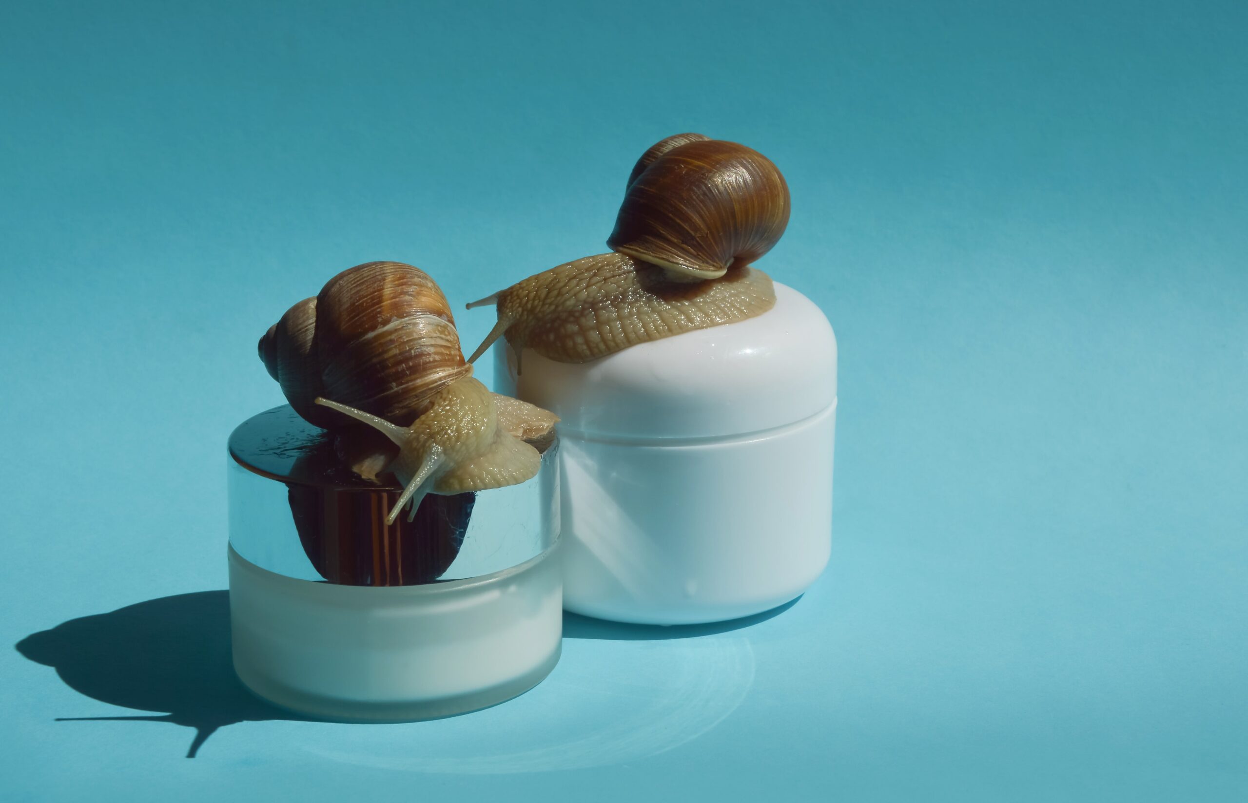 Snail Mucin Is a Skin Care Sensation With Ancient Origins