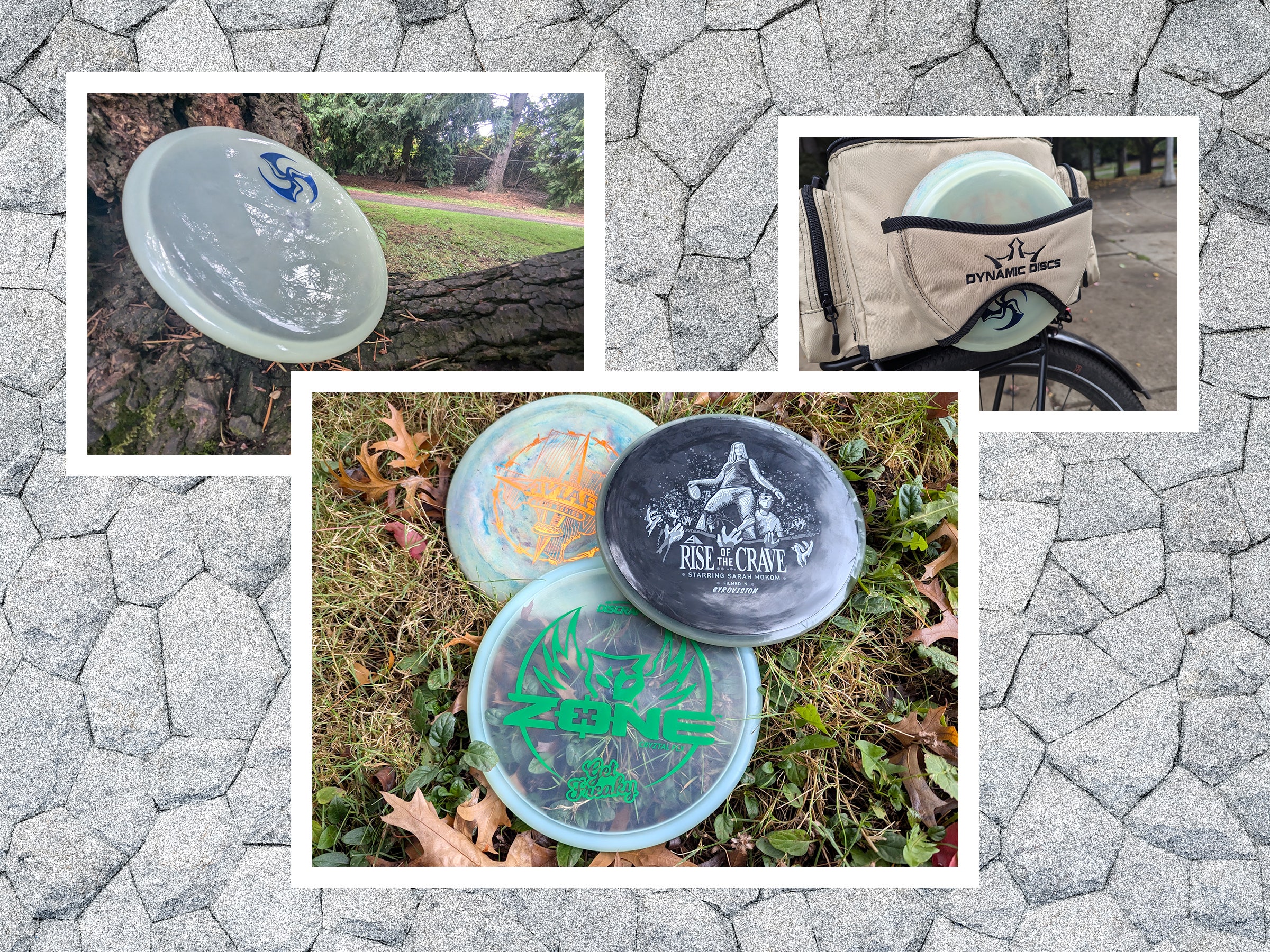 Best Disc Golf Discs (2024): Disc Sets, Putters, and More