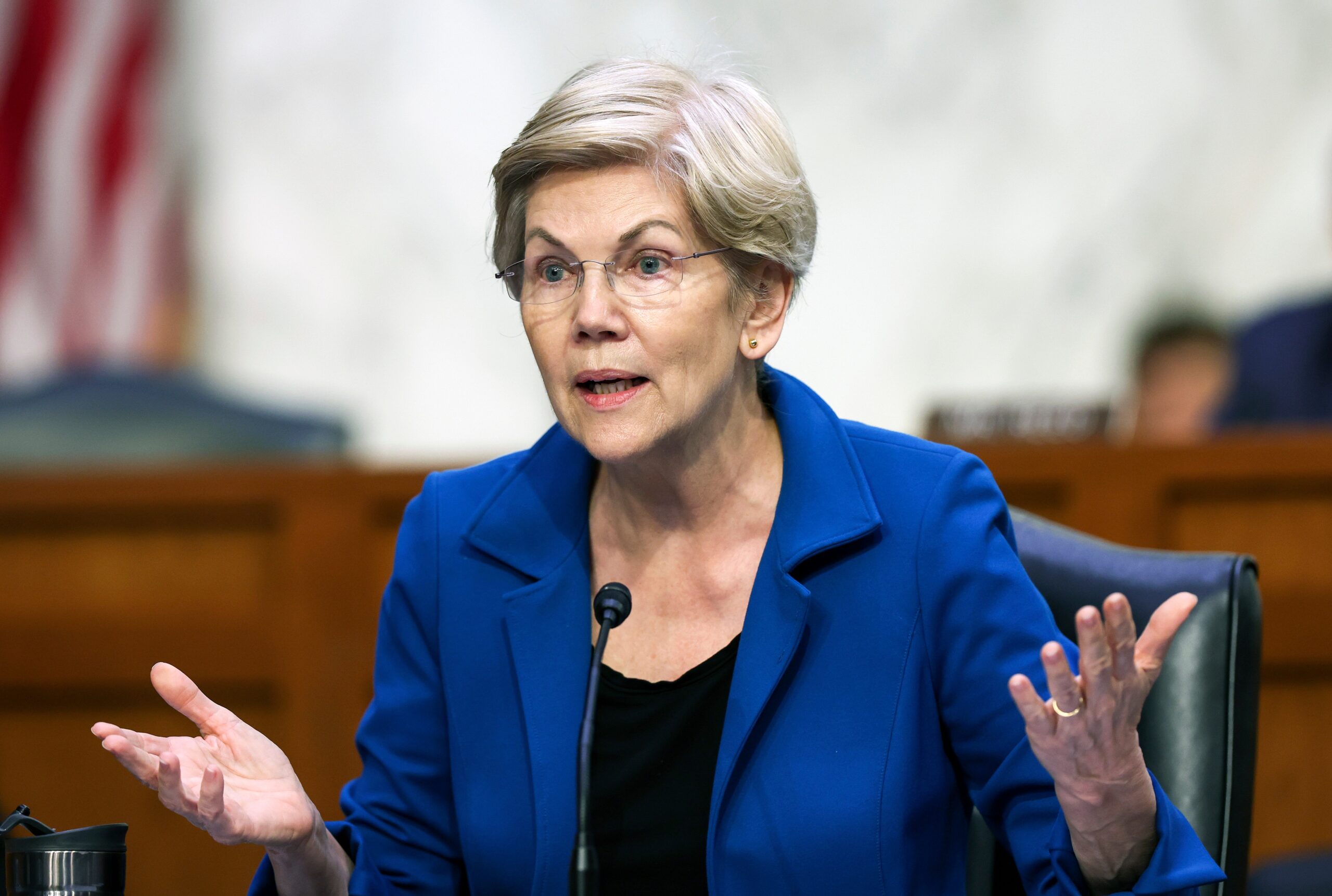 Elizabeth Warren Calls for Crackdown on Internet ‘Monopoly’ You’ve Never Heard of