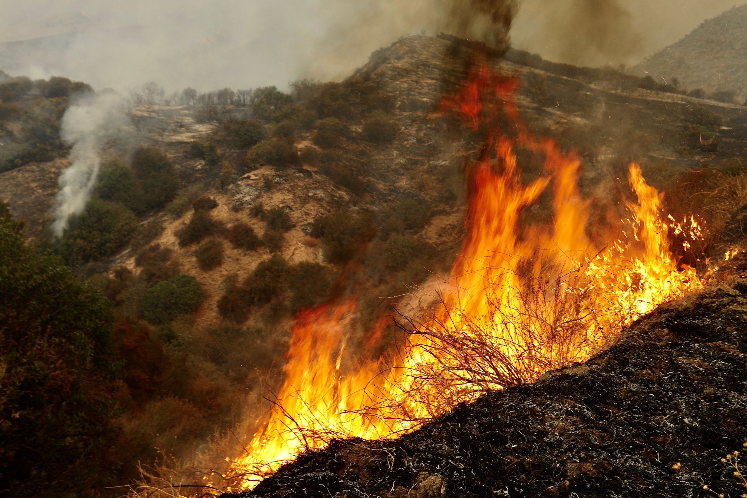 Wildfire Smoke Is Even More Dangerous Than Anyone Knew